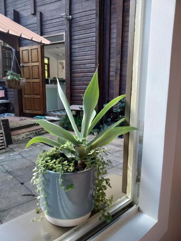 Chalet Ohana, Airport Family House 파페에테 외부 사진